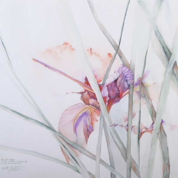 The Iris Fades at Dusk
